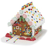 ginger bread house